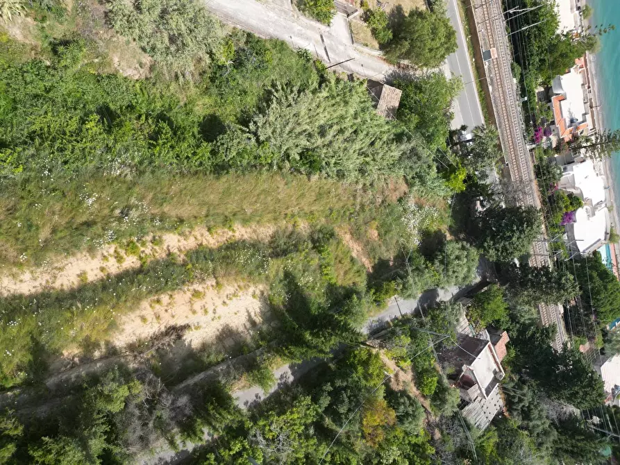 Immagine 15 di Terreno agricolo in vendita  in passi 8 a Altavilla Milicia
