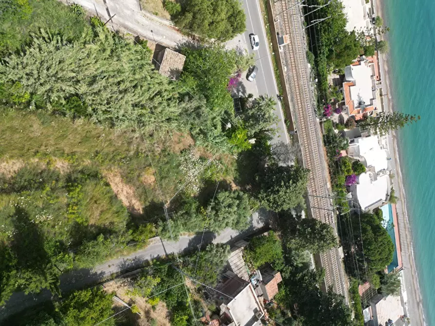 Immagine 16 di Terreno agricolo in vendita  in passi 8 a Altavilla Milicia
