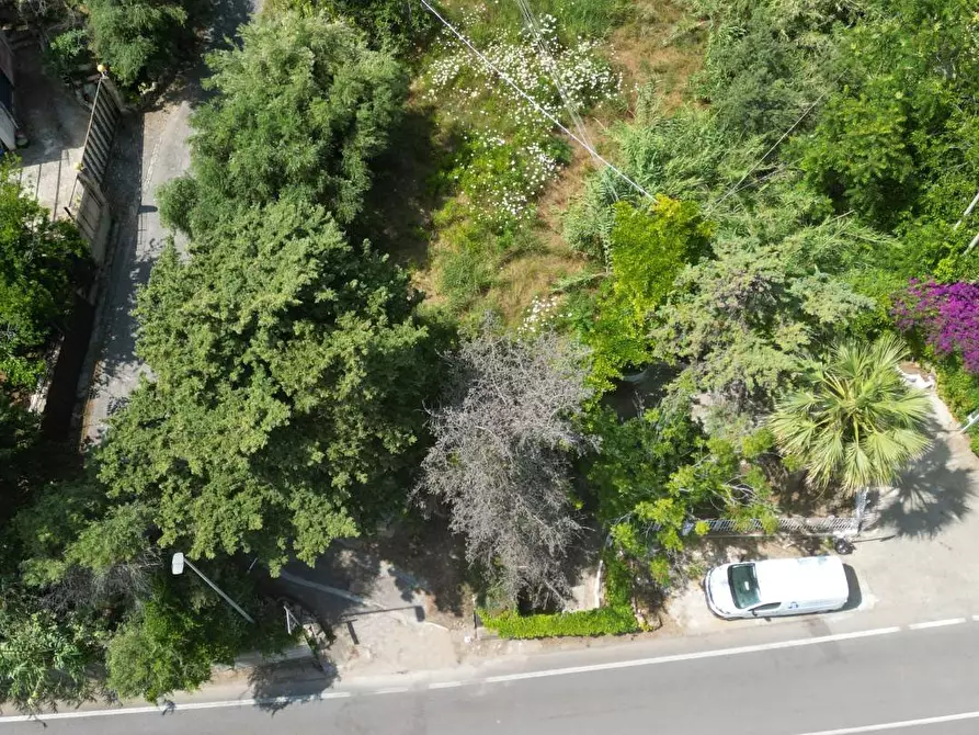 Immagine 20 di Terreno agricolo in vendita  in passi 8 a Altavilla Milicia