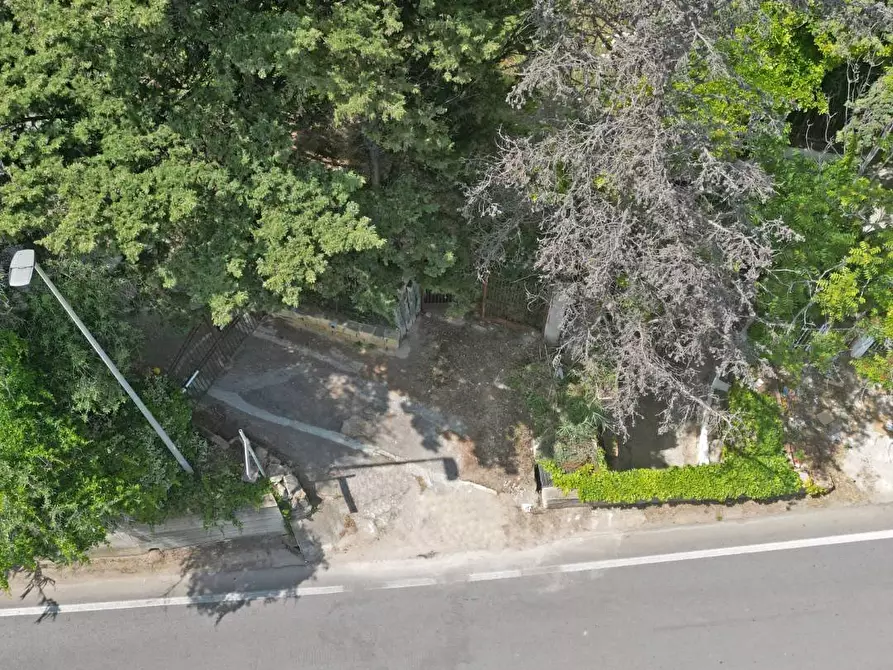 Immagine 21 di Terreno agricolo in vendita  in passi 8 a Altavilla Milicia