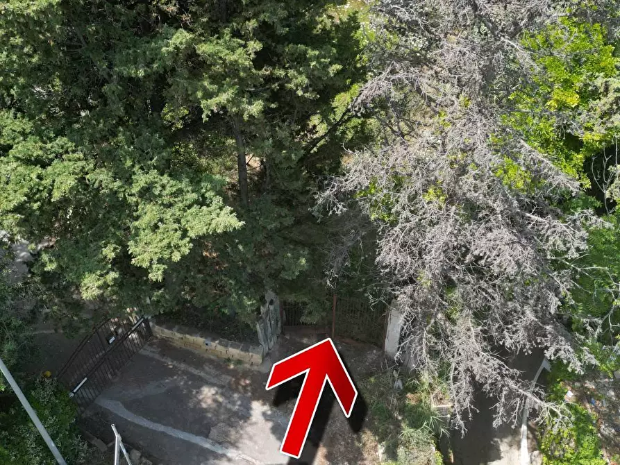 Immagine 22 di Terreno agricolo in vendita  in passi 8 a Altavilla Milicia