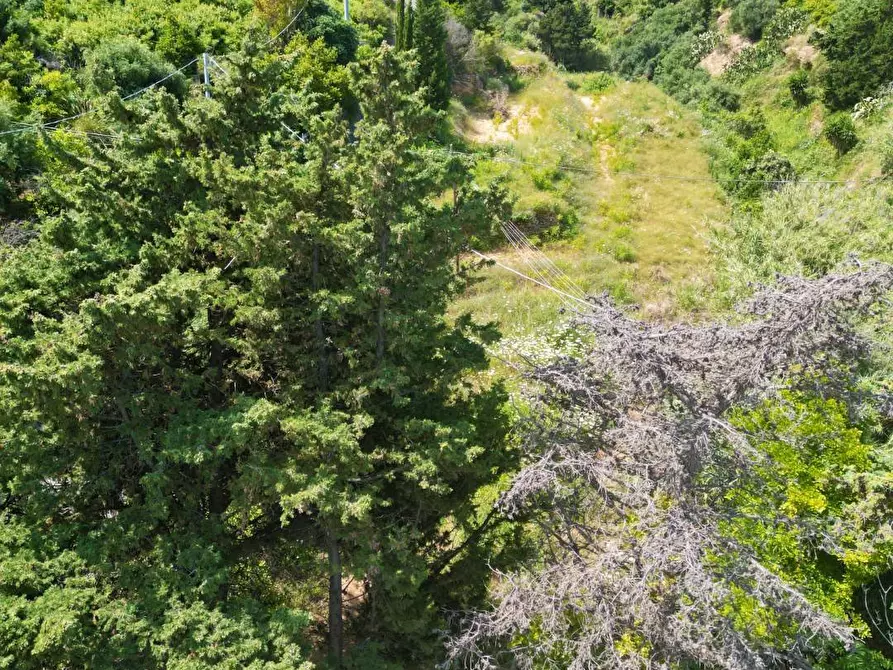 Immagine 23 di Terreno agricolo in vendita  in passi 8 a Altavilla Milicia