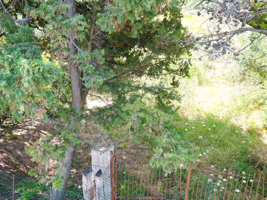 Immagine 24 di Terreno agricolo in vendita  in passi 8 a Altavilla Milicia