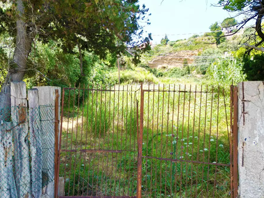 Immagine 25 di Terreno agricolo in vendita  in passi 8 a Altavilla Milicia