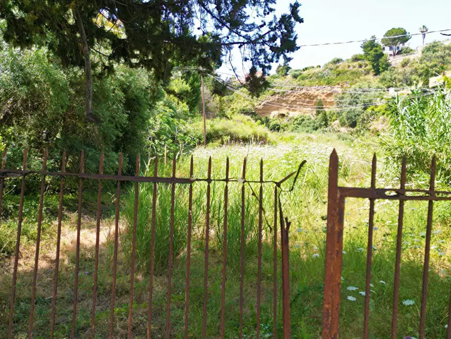 Immagine 26 di Terreno agricolo in vendita  in passi 8 a Altavilla Milicia