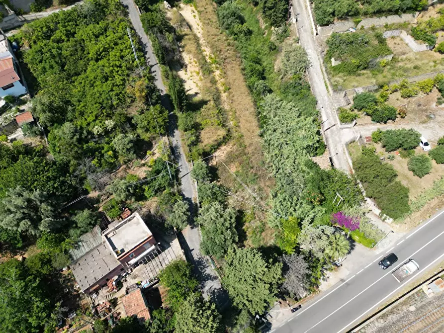 Immagine 27 di Terreno agricolo in vendita  in passi 8 a Altavilla Milicia