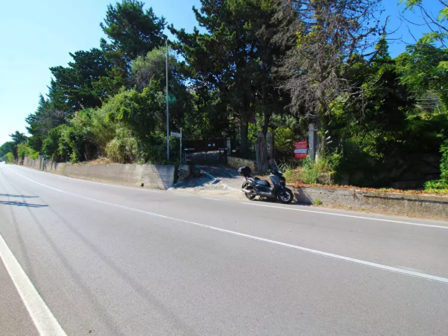 Immagine 36 di Terreno agricolo in vendita  in passi 8 a Altavilla Milicia