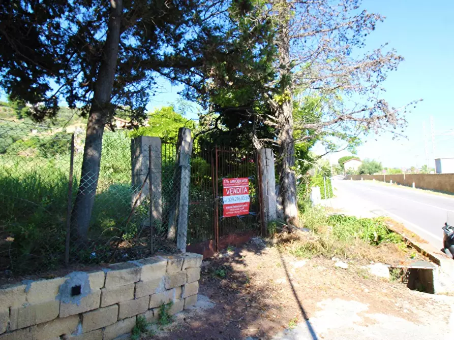 Immagine 40 di Terreno agricolo in vendita  in passi 8 a Altavilla Milicia