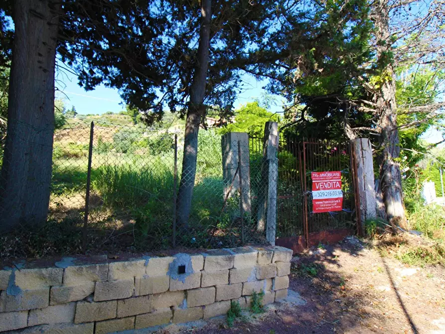 Immagine 41 di Terreno agricolo in vendita  in passi 8 a Altavilla Milicia