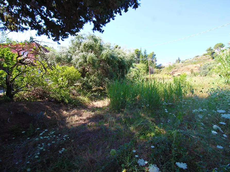 Immagine 42 di Terreno agricolo in vendita  in passi 8 a Altavilla Milicia