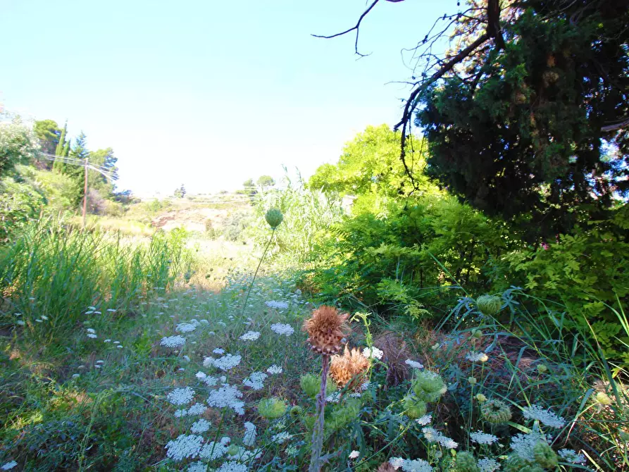 Immagine 43 di Terreno agricolo in vendita  in passi 8 a Altavilla Milicia