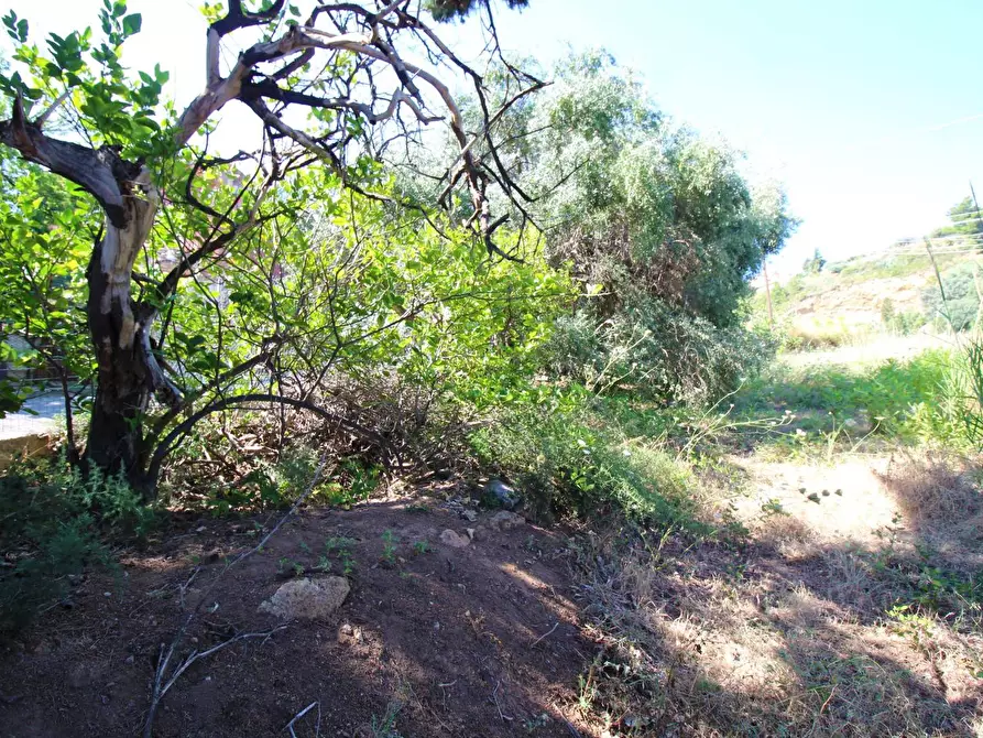 Immagine 44 di Terreno agricolo in vendita  in passi 8 a Altavilla Milicia