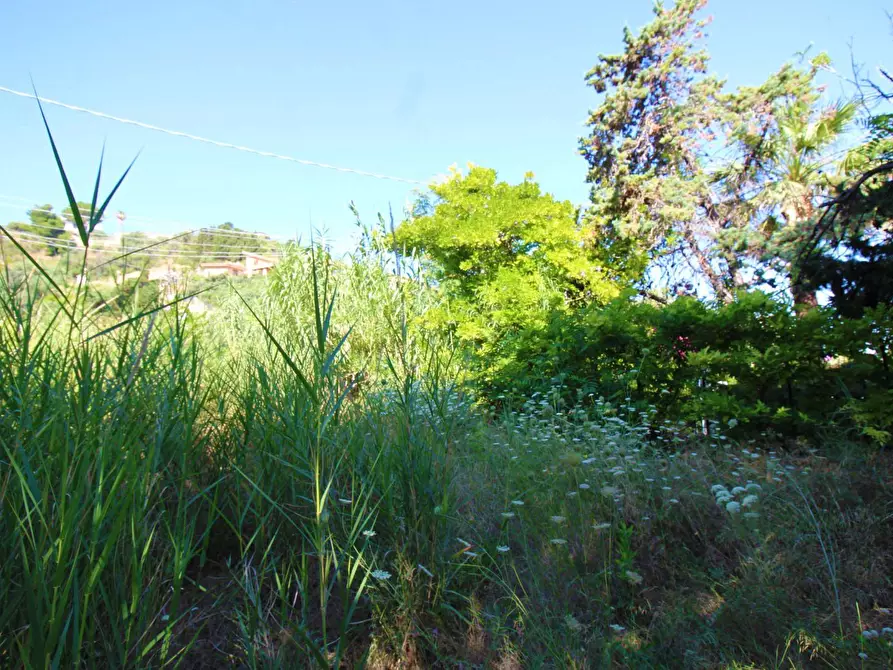 Immagine 45 di Terreno agricolo in vendita  in passi 8 a Altavilla Milicia