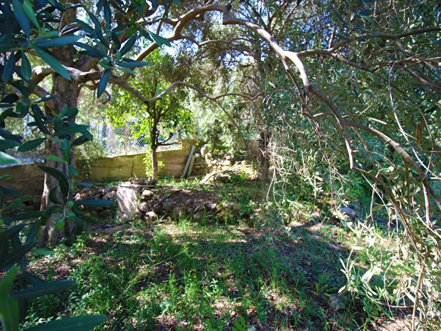 Immagine 46 di Terreno agricolo in vendita  in passi 8 a Altavilla Milicia
