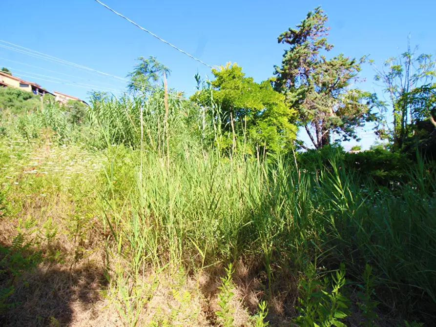 Immagine 47 di Terreno agricolo in vendita  in passi 8 a Altavilla Milicia