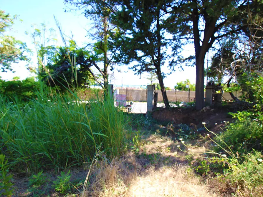 Immagine 48 di Terreno agricolo in vendita  in passi 8 a Altavilla Milicia