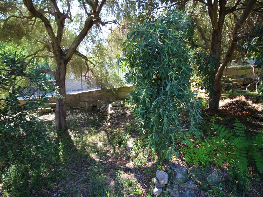 Immagine 50 di Terreno agricolo in vendita  in passi 8 a Altavilla Milicia