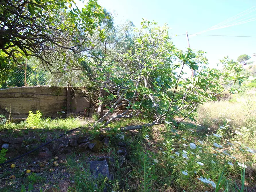 Immagine 51 di Terreno agricolo in vendita  in passi 8 a Altavilla Milicia