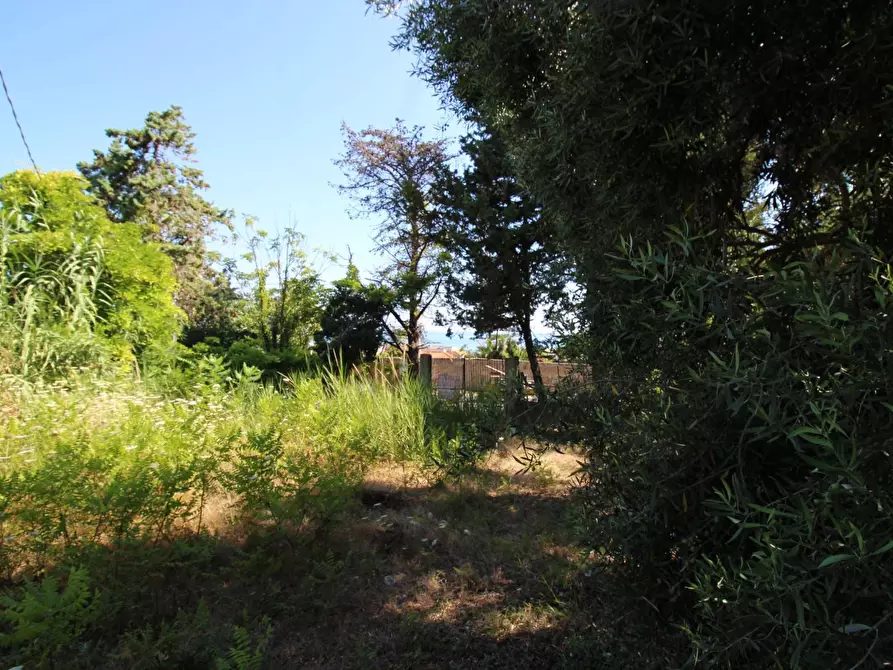 Immagine 52 di Terreno agricolo in vendita  in passi 8 a Altavilla Milicia