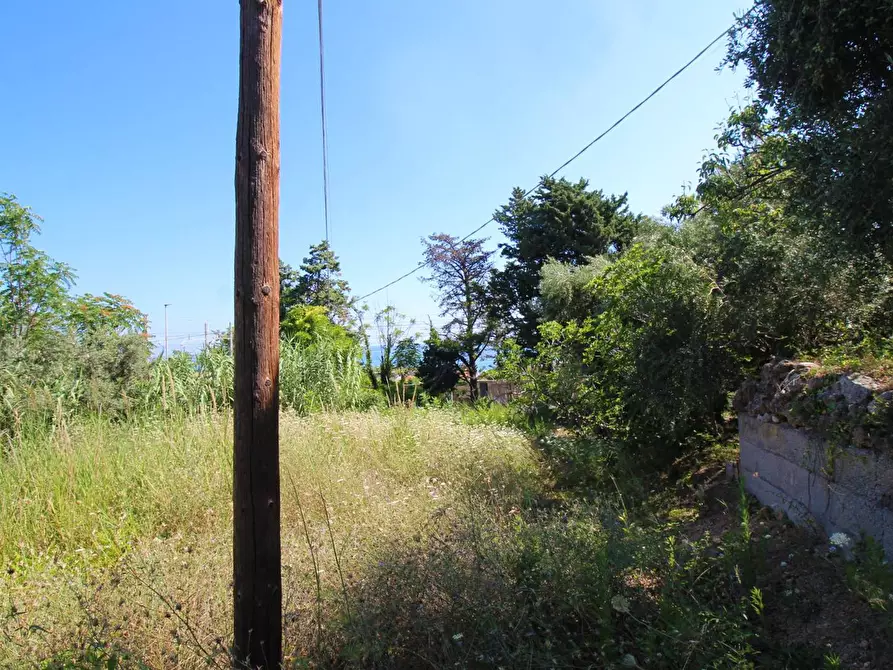 Immagine 54 di Terreno agricolo in vendita  in passi 8 a Altavilla Milicia
