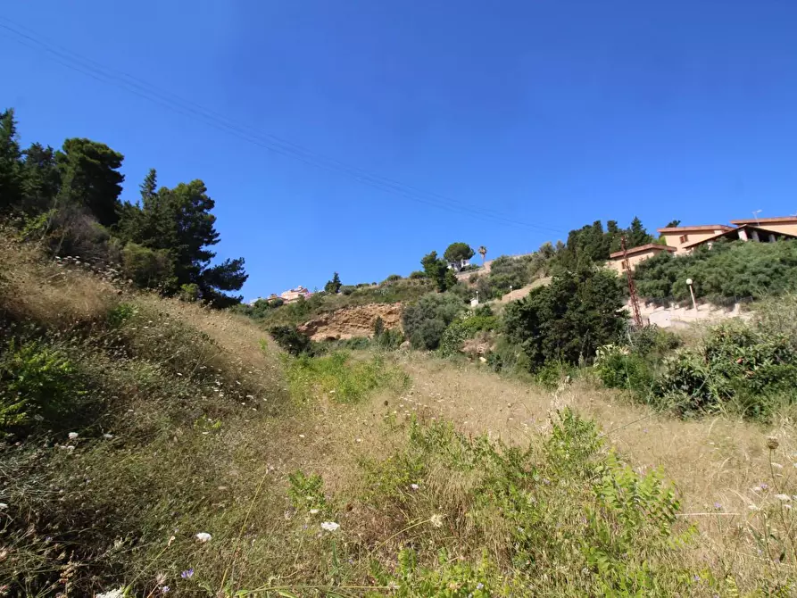 Immagine 56 di Terreno agricolo in vendita  in passi 8 a Altavilla Milicia