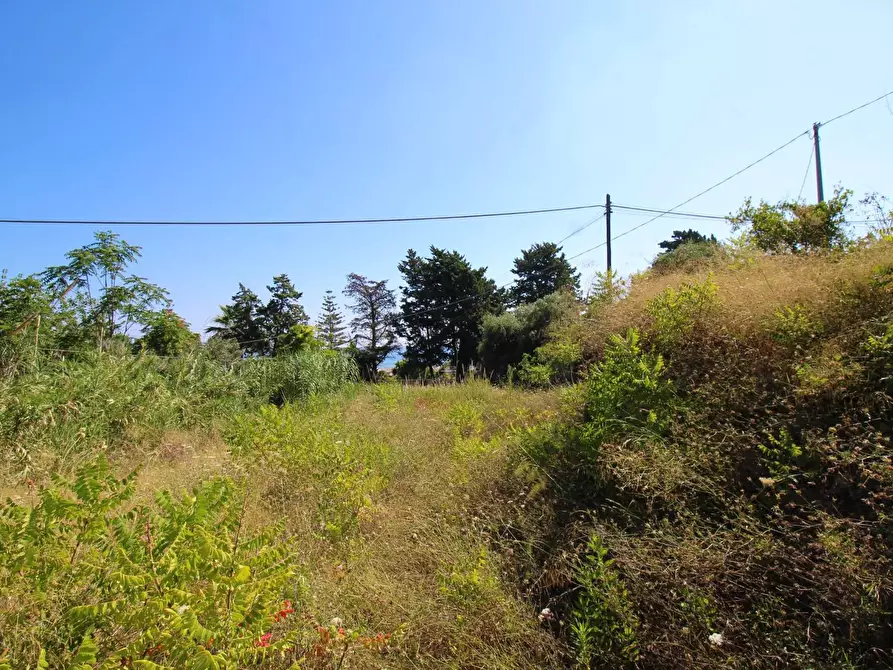 Immagine 57 di Terreno agricolo in vendita  in passi 8 a Altavilla Milicia