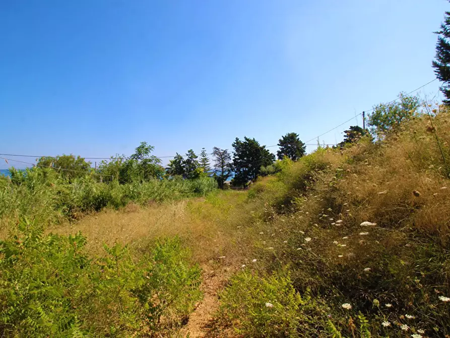 Immagine 58 di Terreno agricolo in vendita  in passi 8 a Altavilla Milicia