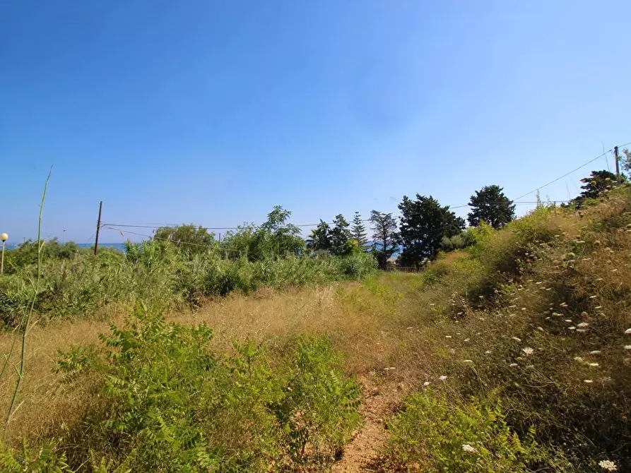 Immagine 59 di Terreno agricolo in vendita  in passi 8 a Altavilla Milicia