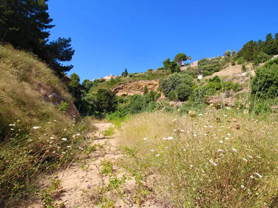 Immagine 60 di Terreno agricolo in vendita  in passi 8 a Altavilla Milicia