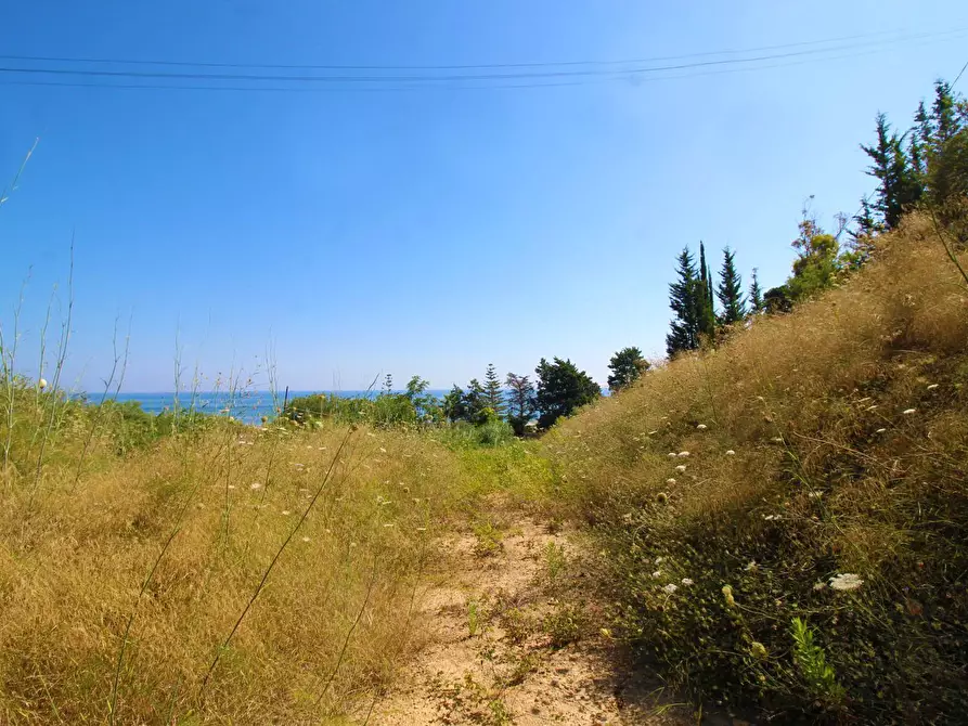 Immagine 61 di Terreno agricolo in vendita  in passi 8 a Altavilla Milicia