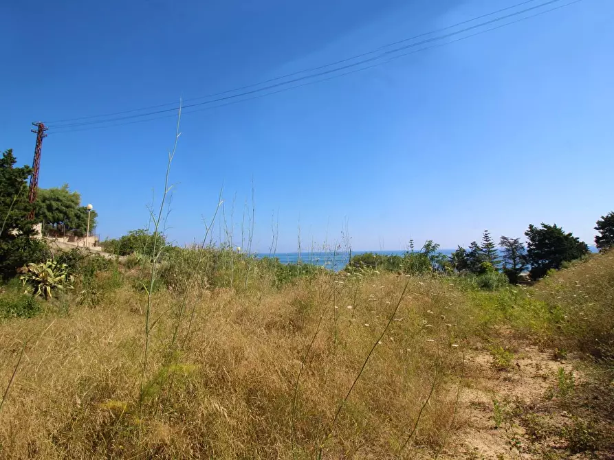 Immagine 62 di Terreno agricolo in vendita  in passi 8 a Altavilla Milicia