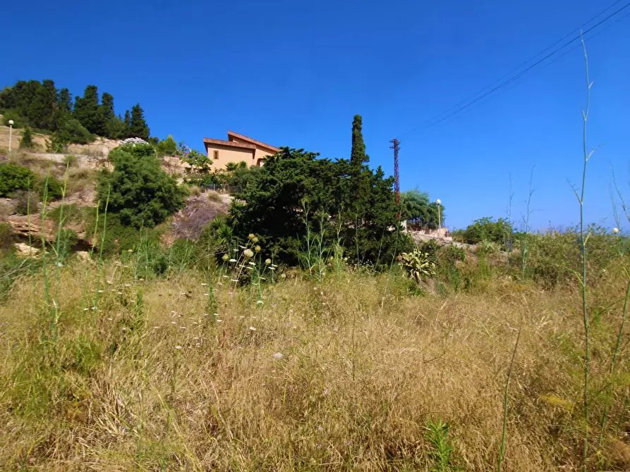 Immagine 63 di Terreno agricolo in vendita  in passi 8 a Altavilla Milicia