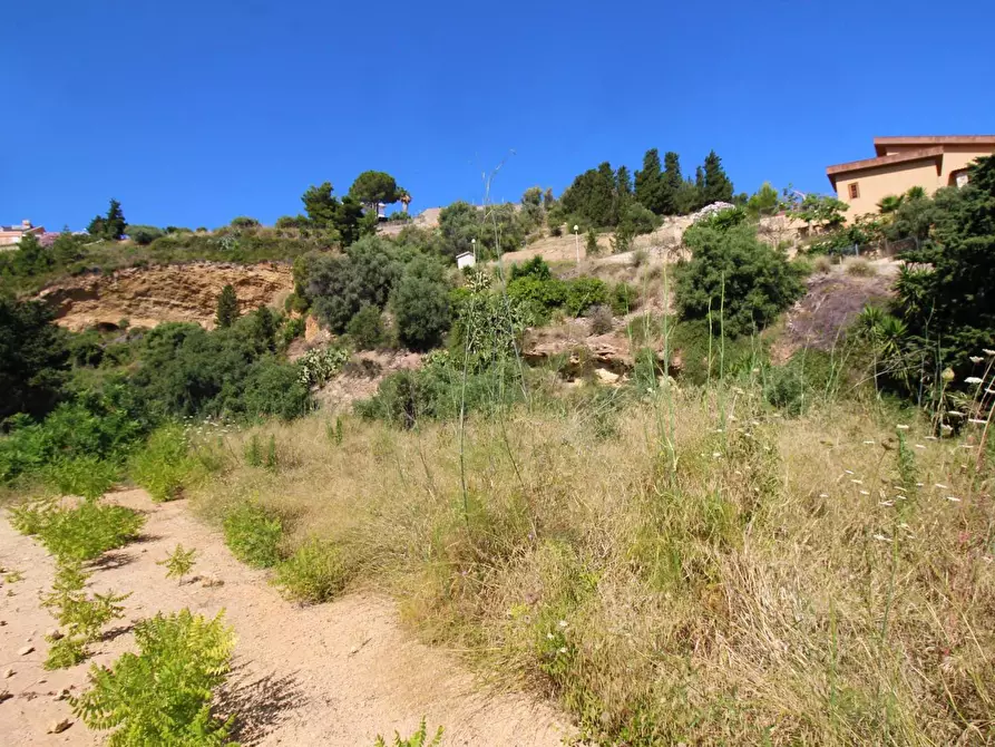 Immagine 64 di Terreno agricolo in vendita  in passi 8 a Altavilla Milicia