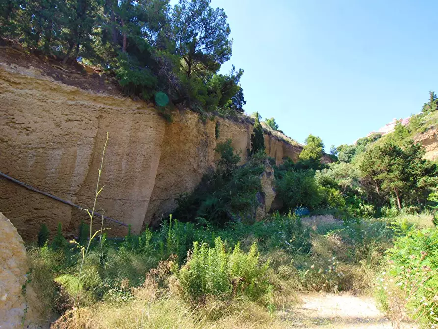 Immagine 65 di Terreno agricolo in vendita  in passi 8 a Altavilla Milicia
