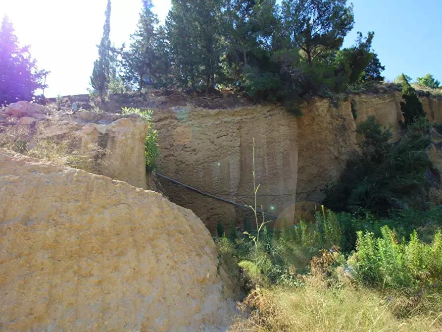 Immagine 66 di Terreno agricolo in vendita  in passi 8 a Altavilla Milicia