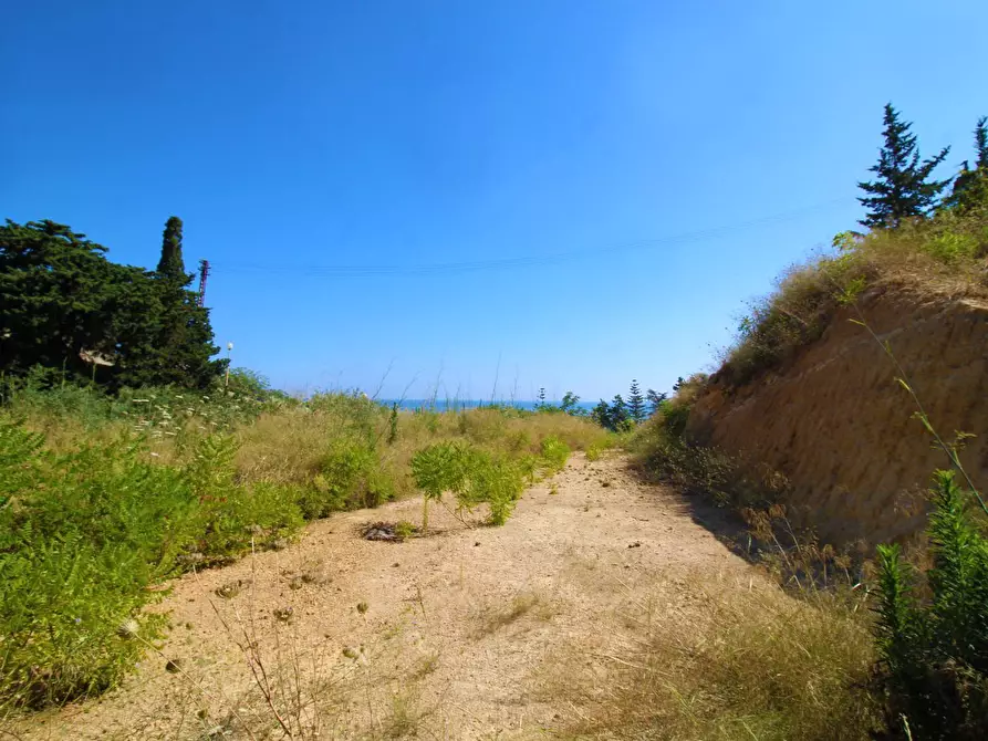 Immagine 67 di Terreno agricolo in vendita  in passi 8 a Altavilla Milicia