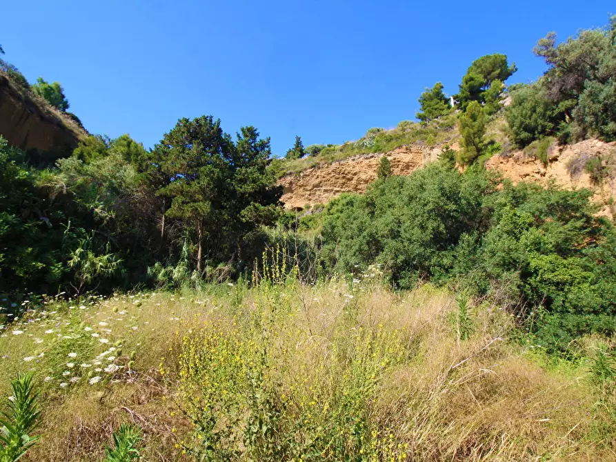 Immagine 69 di Terreno agricolo in vendita  in passi 8 a Altavilla Milicia