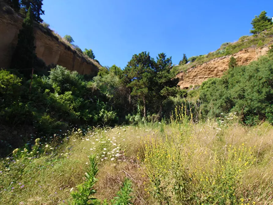 Immagine 70 di Terreno agricolo in vendita  in passi 8 a Altavilla Milicia