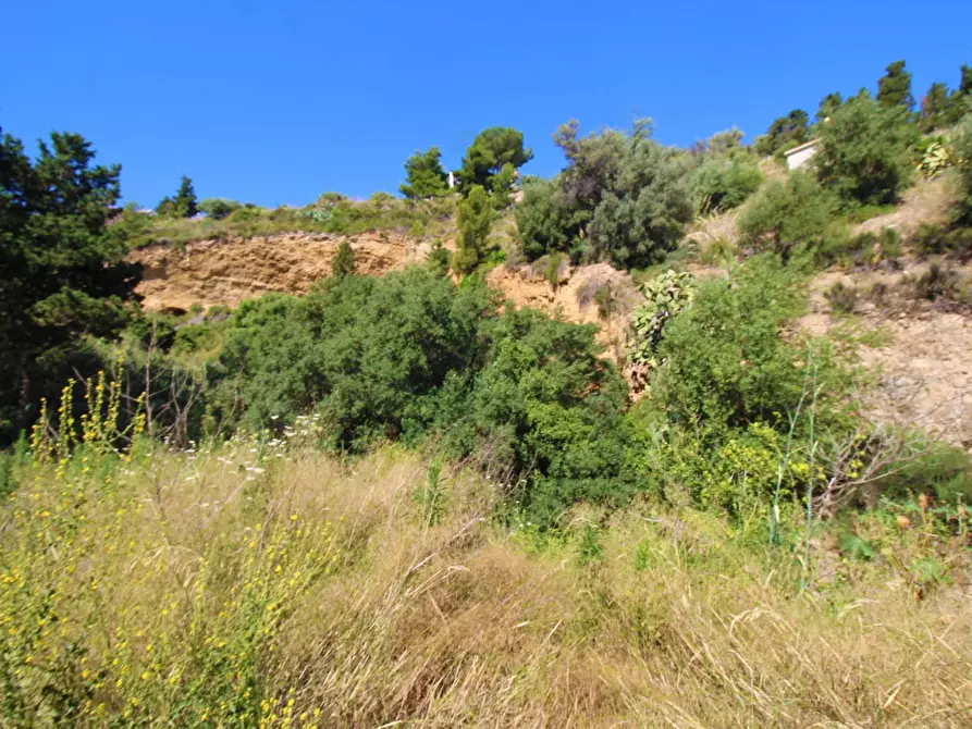 Immagine 71 di Terreno agricolo in vendita  in passi 8 a Altavilla Milicia