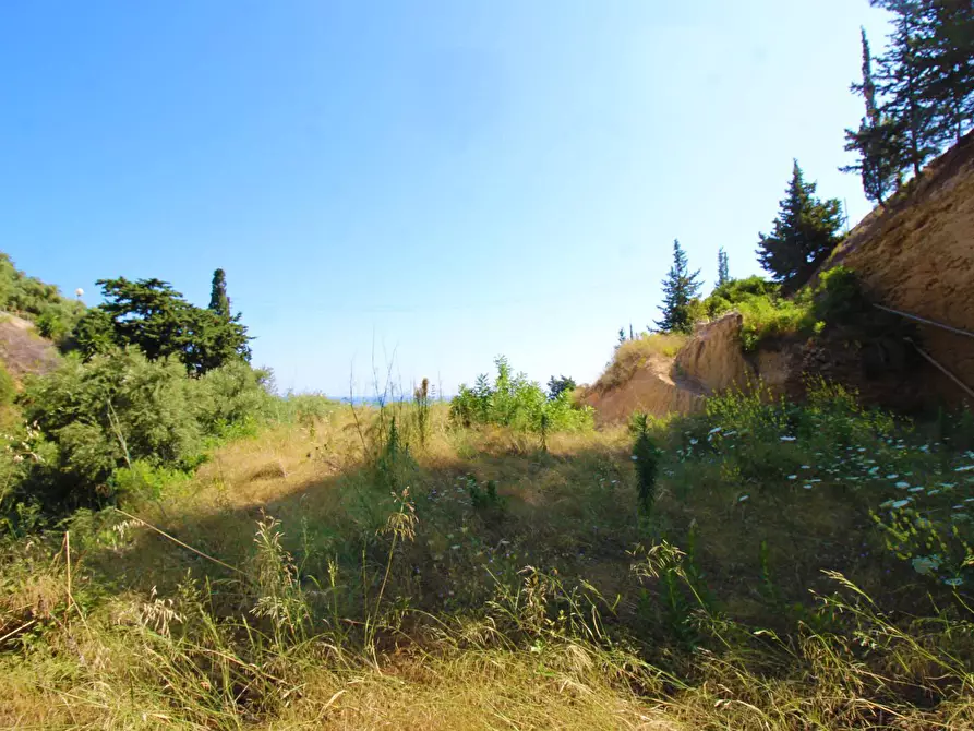 Immagine 72 di Terreno agricolo in vendita  in passi 8 a Altavilla Milicia
