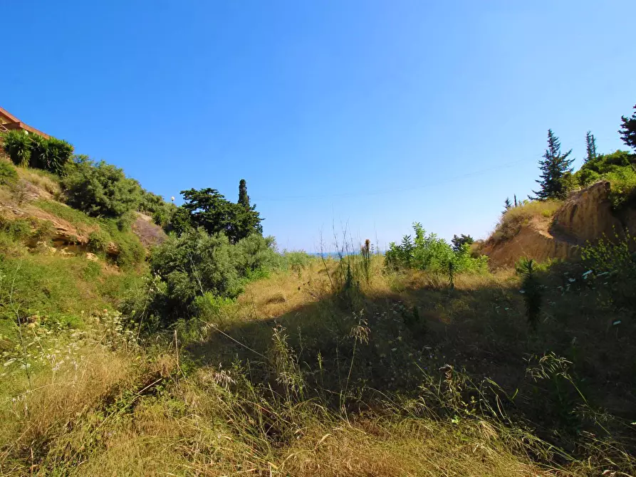Immagine 73 di Terreno agricolo in vendita  in passi 8 a Altavilla Milicia