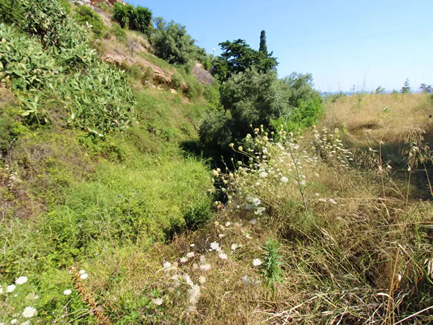Immagine 75 di Terreno agricolo in vendita  in passi 8 a Altavilla Milicia