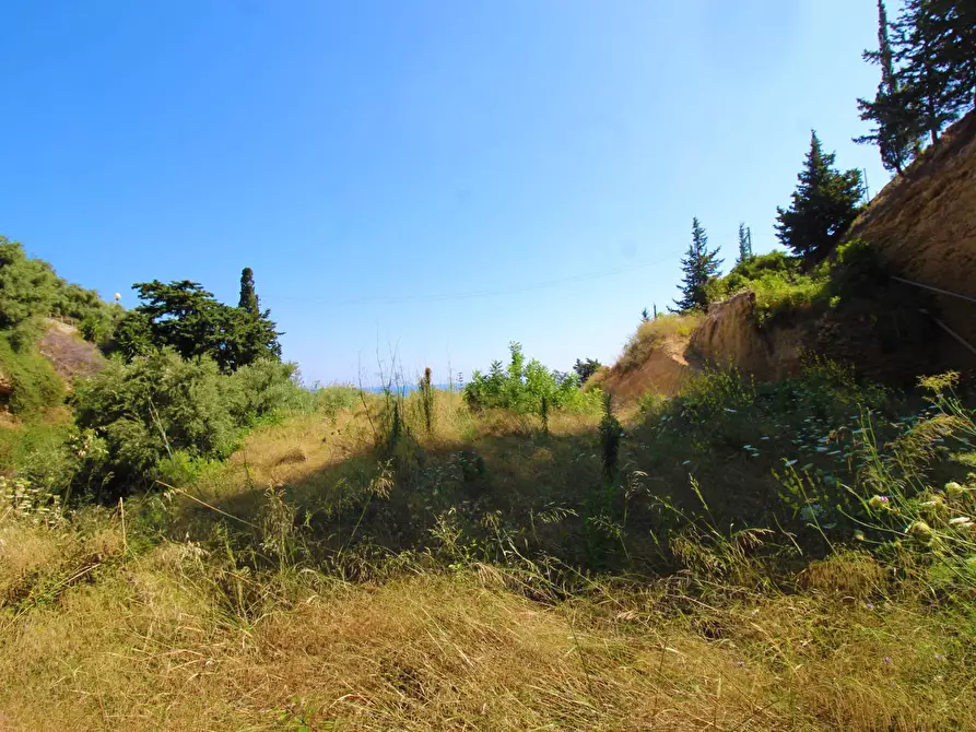 Immagine 76 di Terreno agricolo in vendita  in passi 8 a Altavilla Milicia