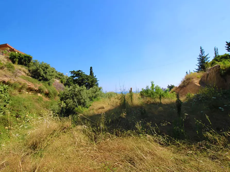 Immagine 77 di Terreno agricolo in vendita  in passi 8 a Altavilla Milicia