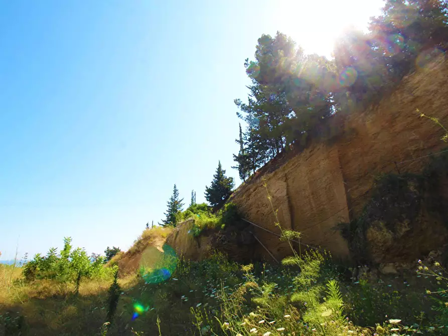 Immagine 78 di Terreno agricolo in vendita  in passi 8 a Altavilla Milicia