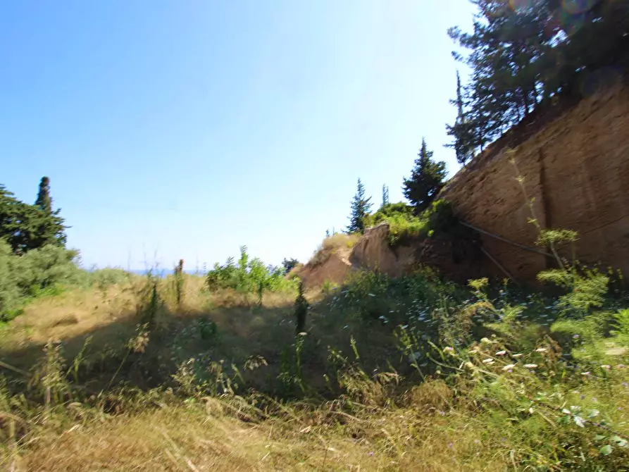 Immagine 79 di Terreno agricolo in vendita  in passi 8 a Altavilla Milicia