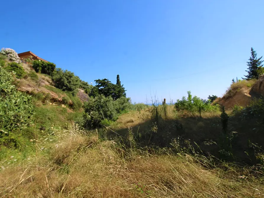 Immagine 80 di Terreno agricolo in vendita  in passi 8 a Altavilla Milicia