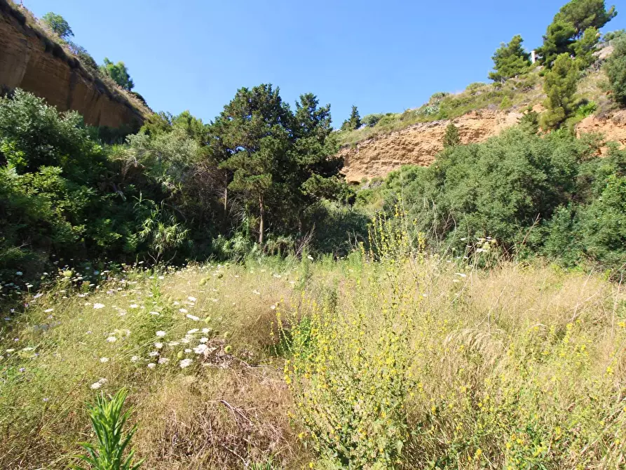 Immagine 81 di Terreno agricolo in vendita  in passi 8 a Altavilla Milicia
