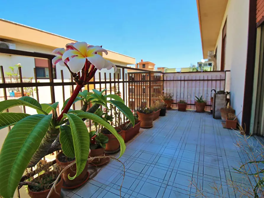 Immagine 18 di Appartamento in vendita  in Corso Dei Mille 1315 a Palermo