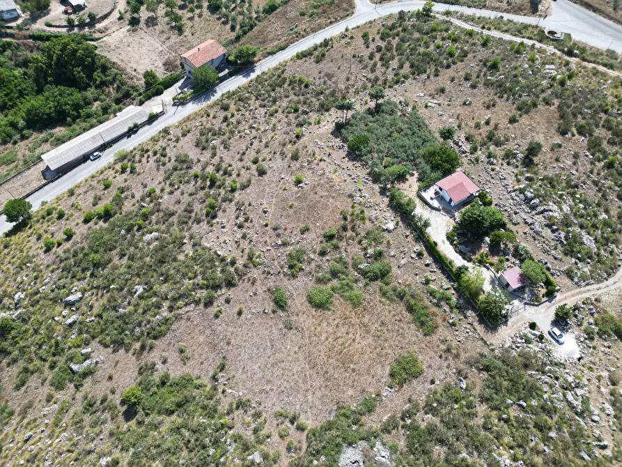 Immagine 3 di Terreno agricolo in vendita  in Contrada Rebuttone a Altofonte